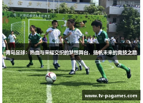 青岛足球:热血与荣耀交织的梦想舞台,扬帆未来的竞技之路