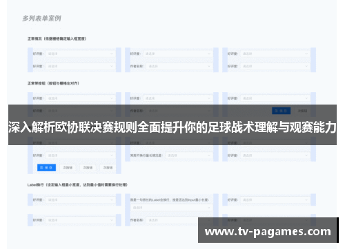 深入解析欧协联决赛规则全面提升你的足球战术理解与观赛能力